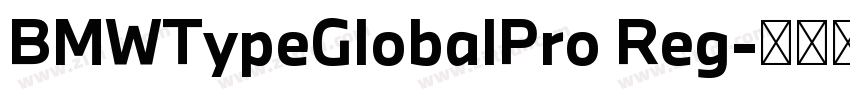 BMWTypeGlobalPro Reg字体转换